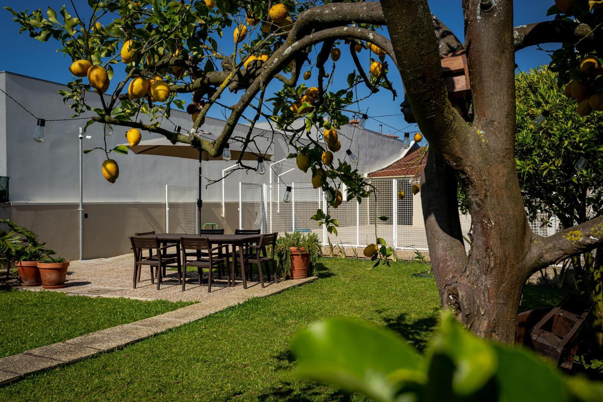 708 Mugnano House Aveleda Villa Vila do Conde Luaran gambar